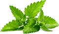 短信轰在线轰炸